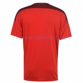 Herre Fotballdrakter Sveits Hjemme Euro 2020 Kortermet